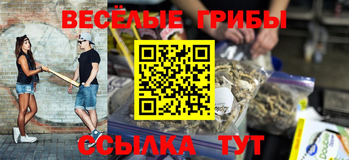 Псилоцибиновые грибы Magic Shrooms  Вход с VPN  Железногорск 